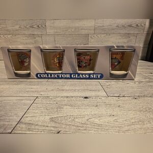 Chicago Bulls Collector Shot Glass Set - Clear Glass with Gold Decals